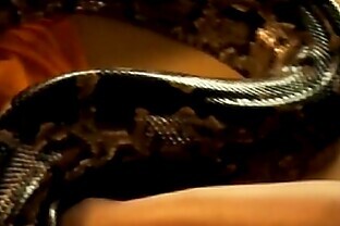 Lève-toi Serpent Érotique, Lève-toi !